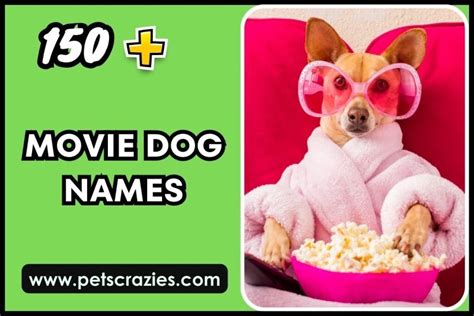 funny dog names from movies|dog names from famous movies.